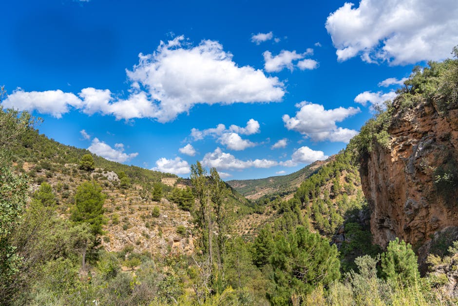 Sendero entre olivares en la sierra andaluza